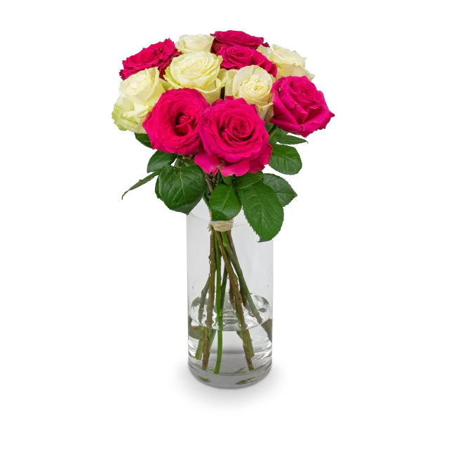 Bouquet of pink and white roses